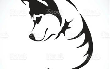 Тестирование